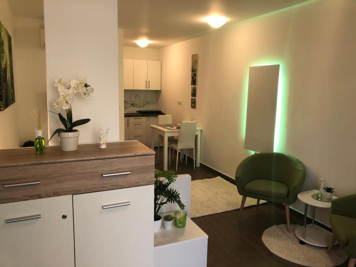 Апартаменти Luxury Central Studio Under The Castle Любляна Екстер'єр фото